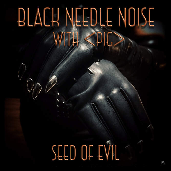 18/06/2020 : BLACK NEEDLE NOISE - Seed of Evil