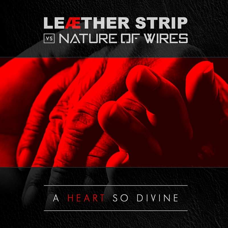 NEWS Danish EBM legend Claus Larsen, aka Leaether Strip and UK synthpop artist Gary Watts, aka Nature of Wires, have collaborated for a very good cause.