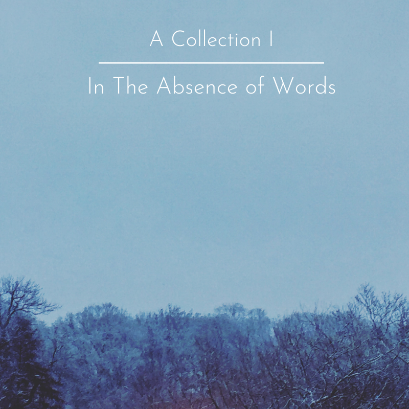 NEWS Dark Ambient Act IN THE ABSENCE OF WORDS Reveals Their Compilation, A Collection I NEWS Dark Ambient Act IN THE ABSENCE OF WORDS Reveals Their Compilation, A Collection I