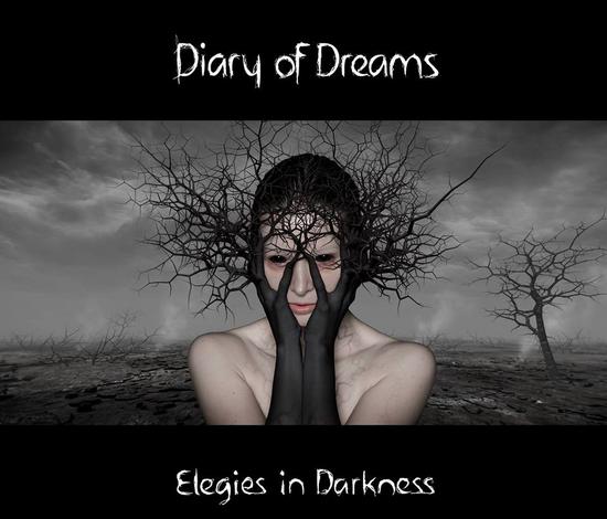 28/03/2014 : DIARY OF DREAMS - Elegies in Darkness