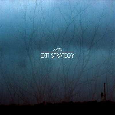 11/07/2012 : LARVAE - Exit Strategy