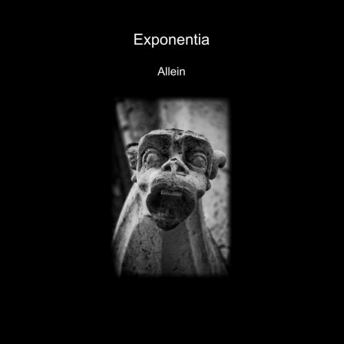 19/11/2012 : EXPONENTIA - Allein 19/11/2012 : EXPONENTIA - Allein