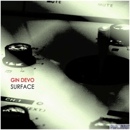 20/01/2012 : GIN DEVO - Surface [169/500]