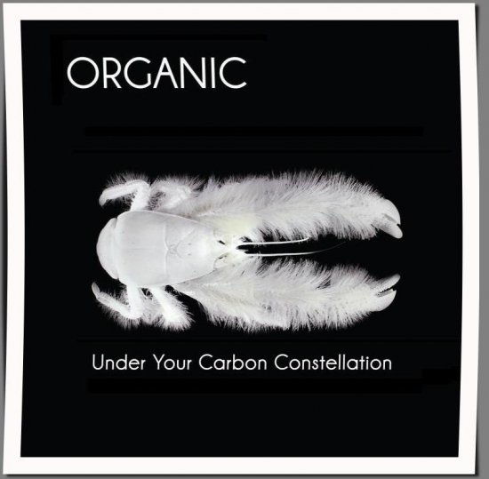 25/09/2012 : ORGANIC - Graham Coxon + Organic