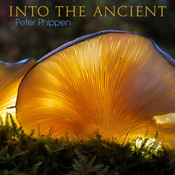NEWS Grammy-nominated Peter Phippen brings 'Into the Ancient'