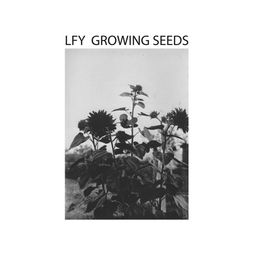 26/07/2012 : LUST FOR YOUTH - Growing Seeds