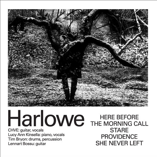 19/01/2016 : HARLOWE - Harlowe