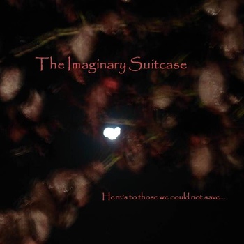 06/12/2012 : THE IMAGINARY SUITCASE - Here's to those we could not save