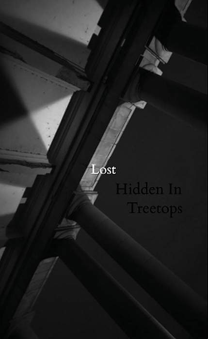 09/12/2016 : HIDDEN IN TREETOPS - Lost