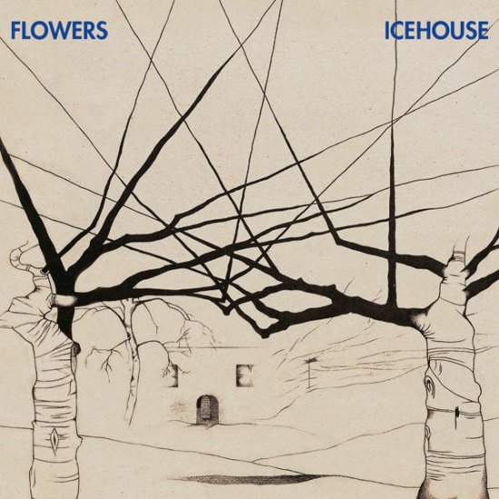 20/06/2011 : ICEHOUSE - Flowers