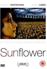 NEWS Italian Screen Goddess Sophia Lorenin the newly HD Re-mastered Sunflower