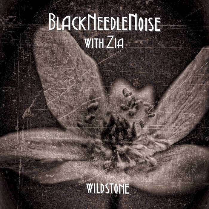 NEWS John Fryer's Black Needle Noise releases free track on Bandcamp