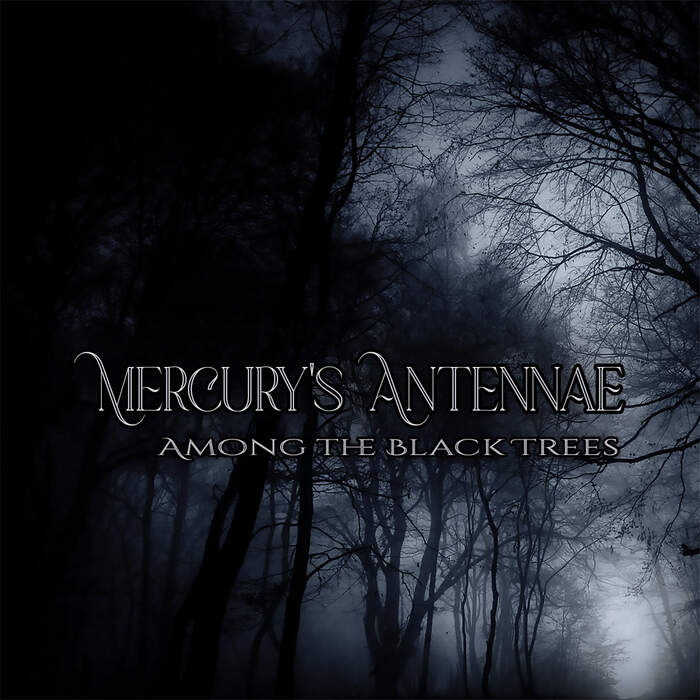 06/05/2025 : MERCURY'S ANTENNAE - Among The Black Trees