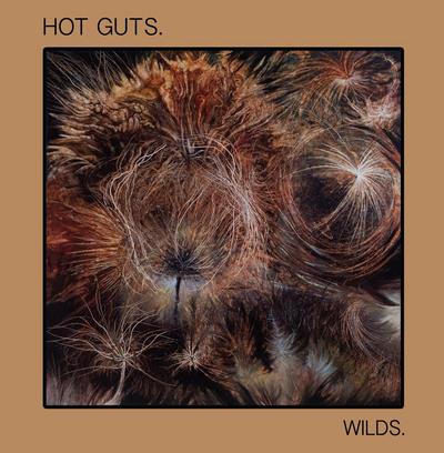 NEWS New album by post-punkband Hot Guts on Avant!