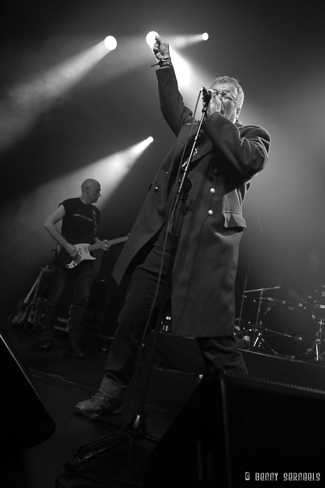 RED ZEBRA - Het Depot, Leuven, Belgium