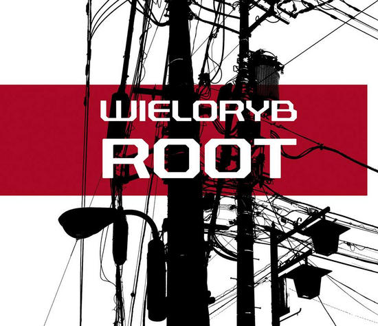 14/07/2014 : WIELORYB - Root