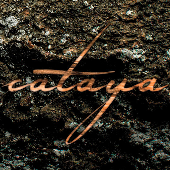 07/02/2016 : CATAYA - Sukzession