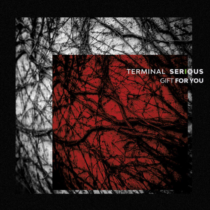 14/06/2022 : TERMINAL SERIOUS - Gift For You