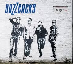 09/10/2014 : THE BUZZCOCKS - It's not you