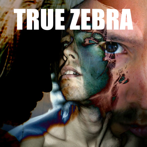 NEWS The electronic einzelgänger TRUE ZEBRA releases 123
