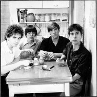 THE FEELIES