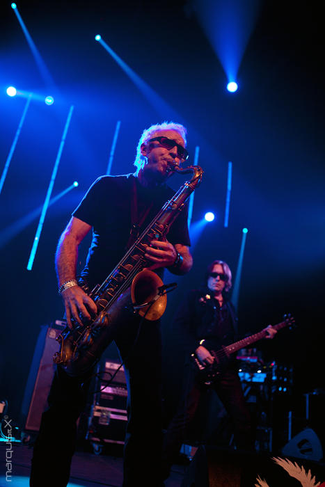 THE PSYCHEDELIC FURS - Sinner's Day, Hasselt, Belgium