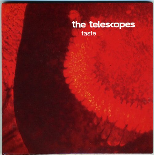 29/04/2012 : THE TELESCOPES - Taste