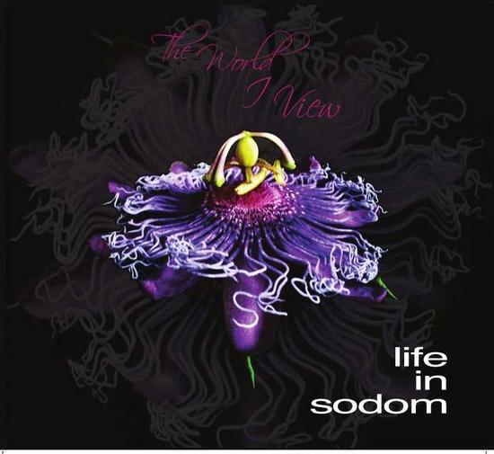 20/01/2014 : LIFE IN SODOM - The World I View