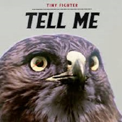 22/03/2019 : TINY FIGHTER - Tell Me