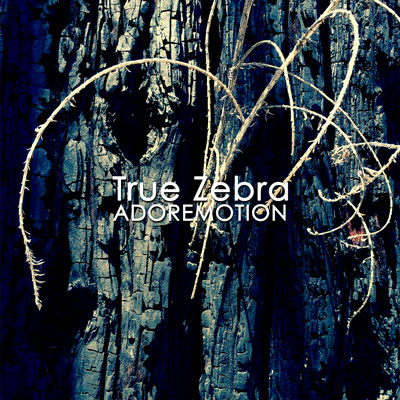 NEWS True Zebra new album release.