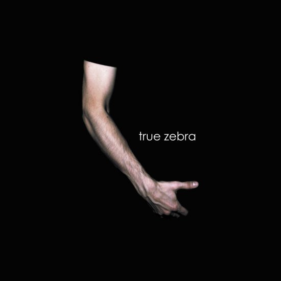 26/01/2012 : TRUE ZEBRA - True Zebra