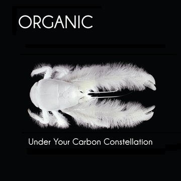 25/11/2012 : ORGANIC - Under Your Carbon Constellation