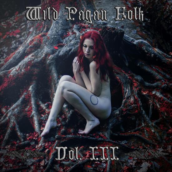 25/01/2015 : VARIOUS ARTISTS - La Guilde Folk - Wild Folk Pagan VOL III