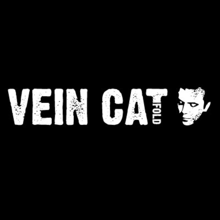13/11/2015 : VEIN CAT - Fold EP