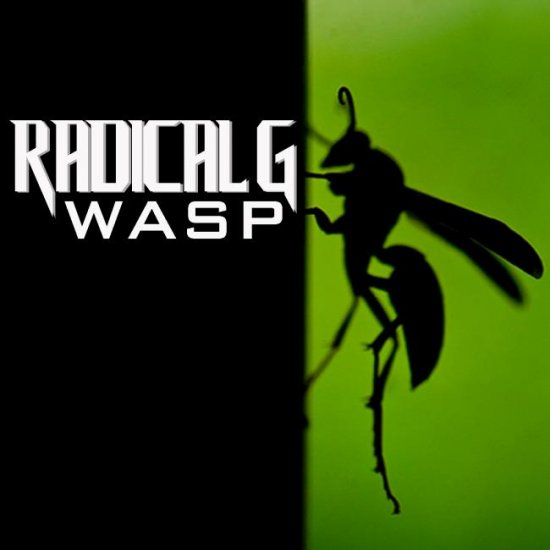 24/04/2013 : RADICAL G - Wasp EP