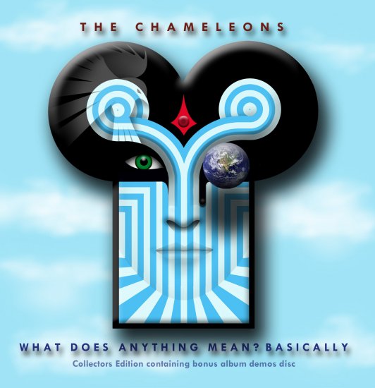 02/06/2011 : THE CHAMELEONS - What does anything mean? Basically