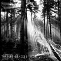 CD A VIOLET PINE Turtles remixes