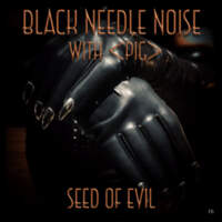 CD BLACK NEEDLE NOISE Seed of Evil