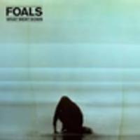 CD FOALS What Went Down