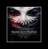 CD VARIOUS ARTISTS Absolute Grrls Manifesto, Chapter 1