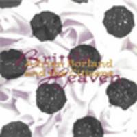 CD ADRIAN BORLAND & THE CITIZENS CLASSICS: Brittle Heaven