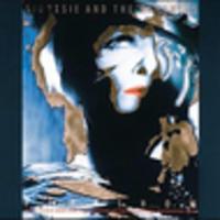 CD SIOUXSIE & THE BANSHEES CLASSICS: Peepshow