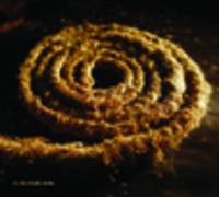 CD COIL Nine Inch Nails 'Recoiled'