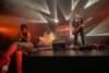 DEAR DEER - Pekkersfeesten