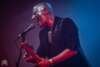 DEAR DEER - Pekkersfeesten