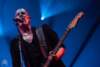 DEAR DEER - Pekkersfeesten