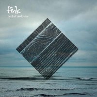 CD FINK Perfect Darkness