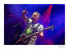 PETER HOOK & THE LIGHT - W-FESTIVAL, Wortegem, Belgium