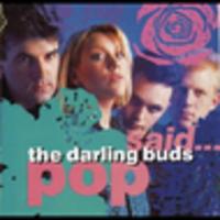 CD THE DARLING BUDS Pop Said