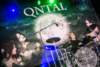 QNTAL - Amphi